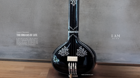 a sitar with our logo